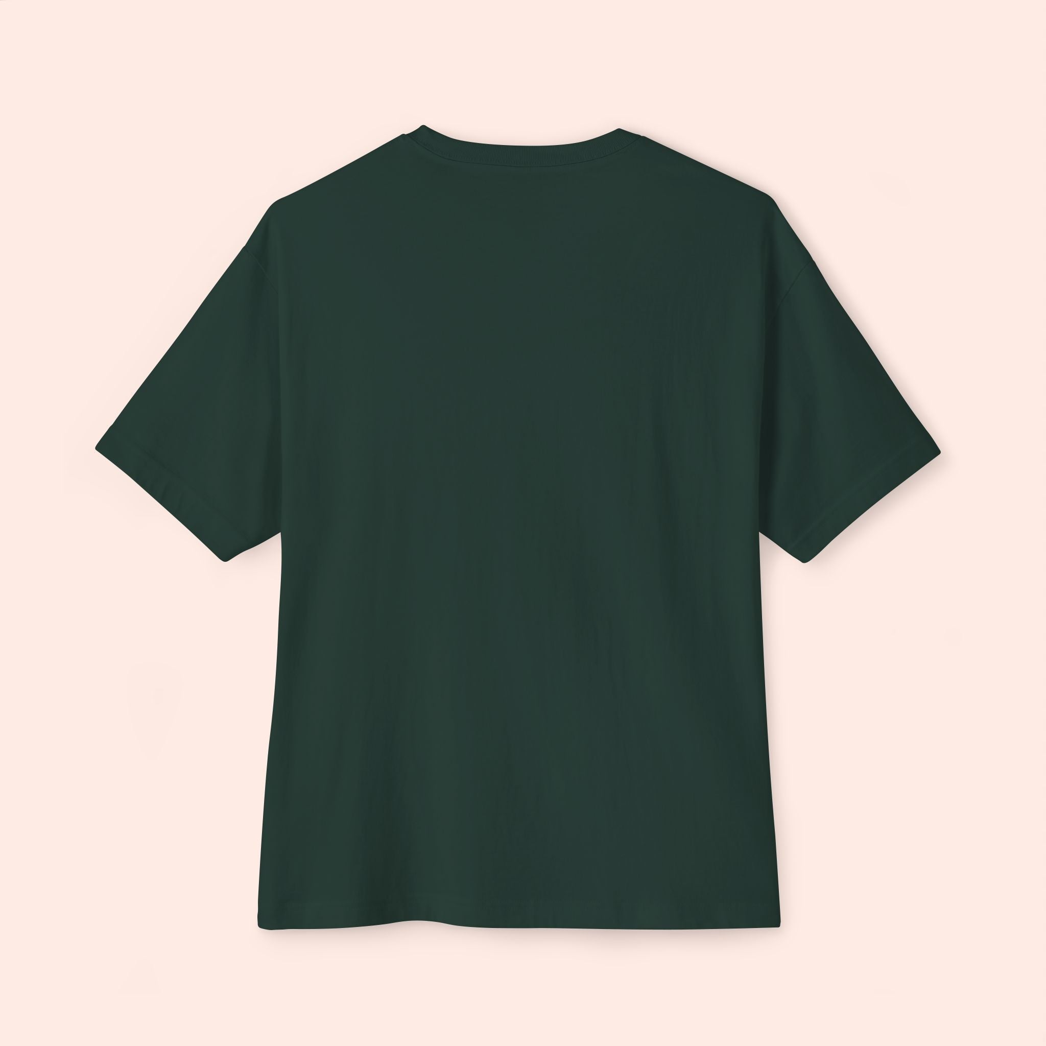 Screen Queen Long Boxy Shirt – Vintage 1950s Palm Springs Graphic Tee